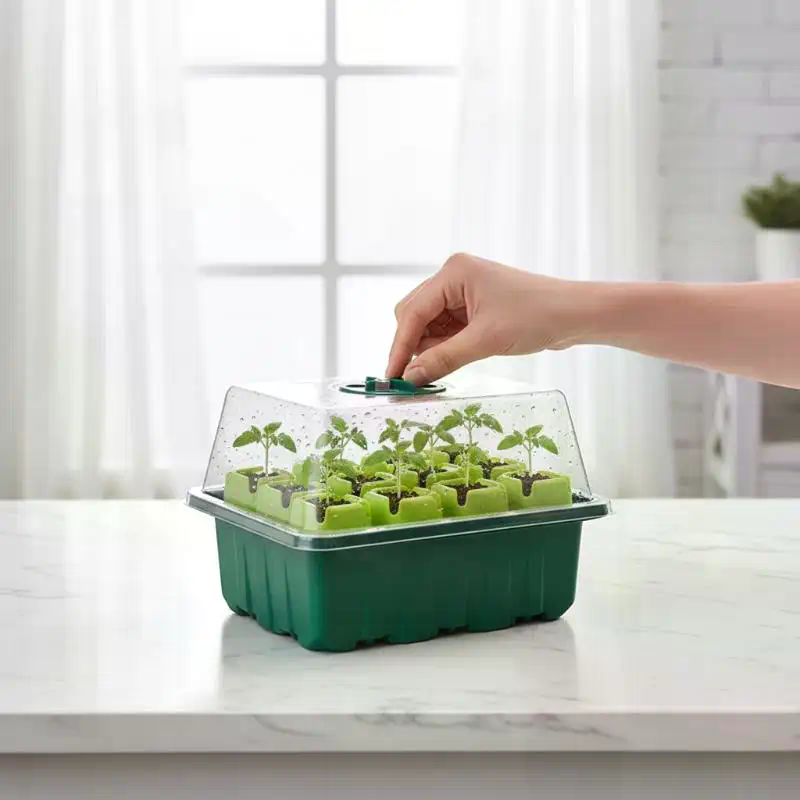 Dome Propagation Kit - Kit de Germination 1 Ensemble :