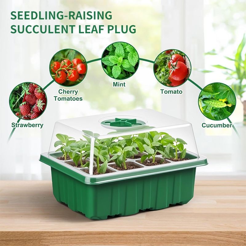 Kit de Germination pour Semis  - Dome Propagation Kit avis et prix