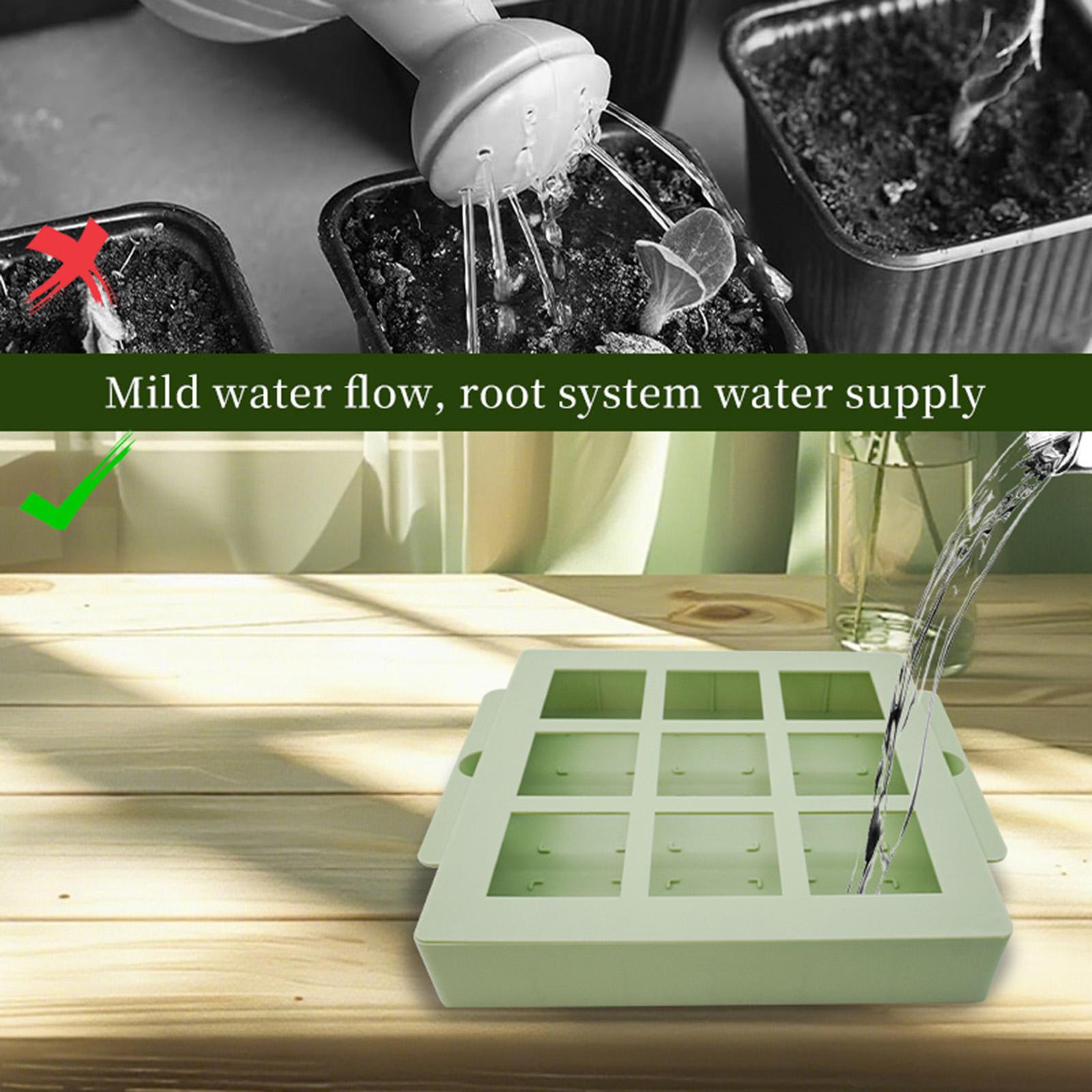Kit de démarrage pour plantes  - Dome Propagation Kit avis et prix