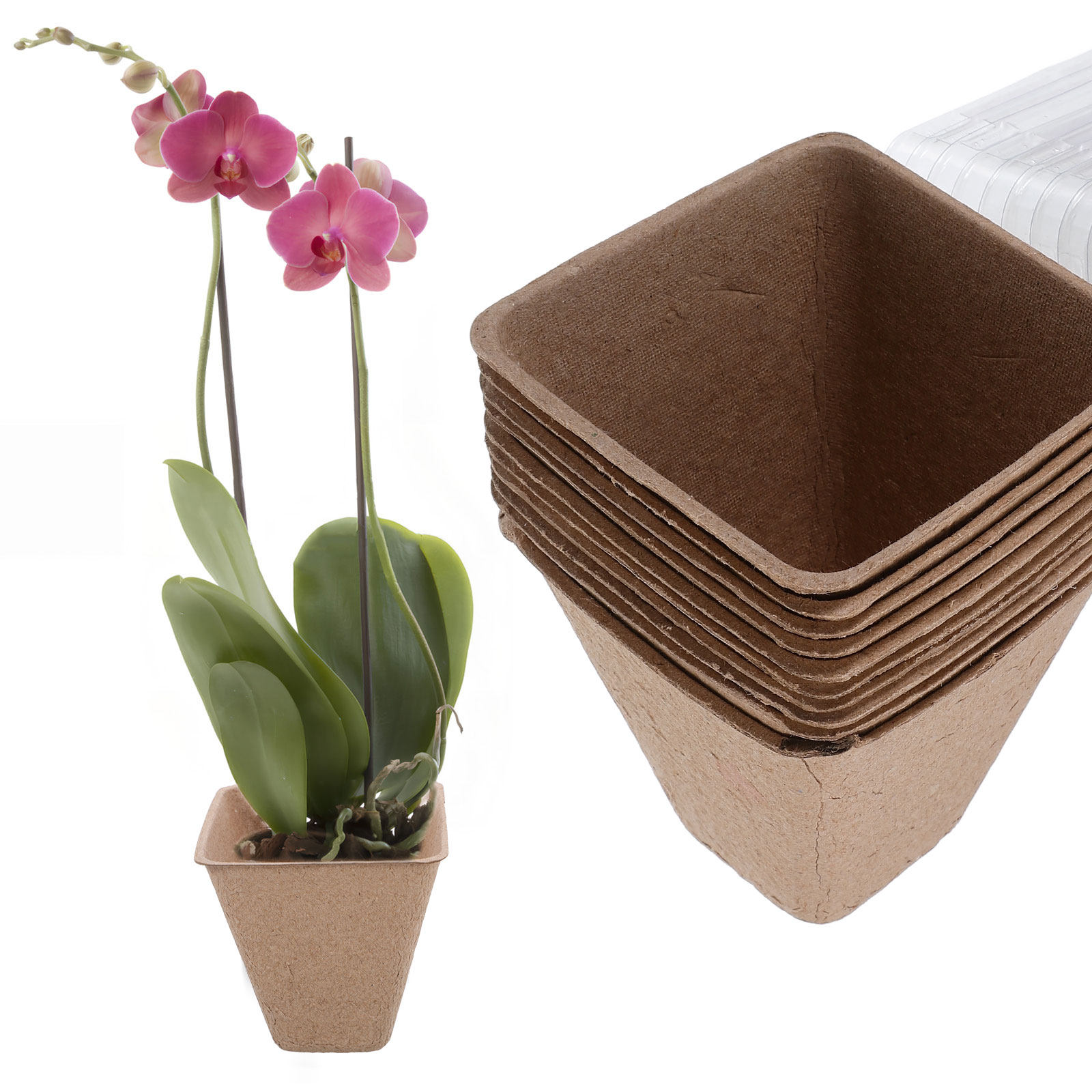 Kit de 10 pots de semis durabl - Dome Propagation Kit avis et prix