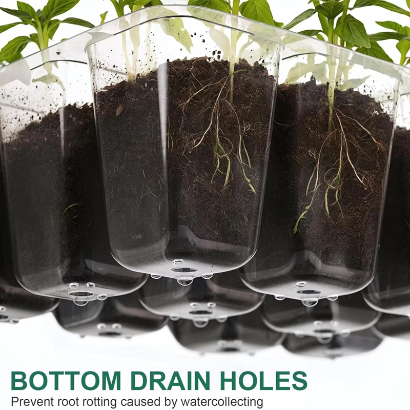 Kit de Germination pour Semis  - Dome Propagation Kit avis et prix