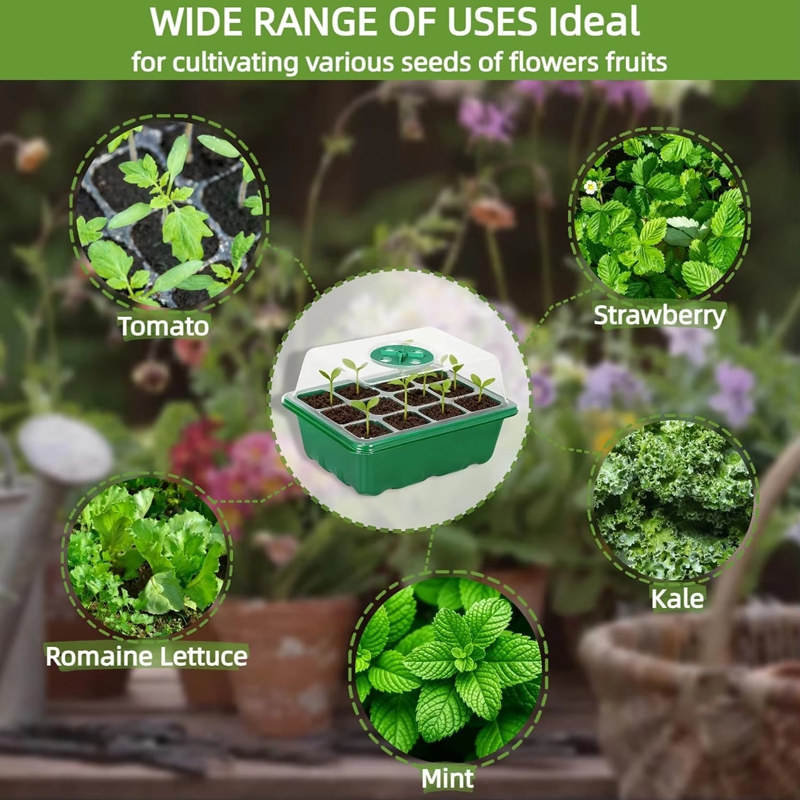 Kit de Germination pour Semis  - Dome Propagation Kit avis et prix